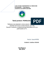 Proiect pomologie - livada cires intensiv - Catalina Crisan.doc