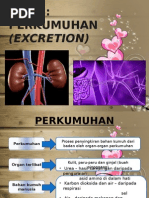 Perkumuhan tahun 4