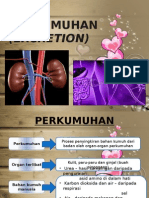 Perkumuhan tahun 4