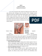 Download Hernia Inguinalis by adelia7 SN267641091 doc pdf