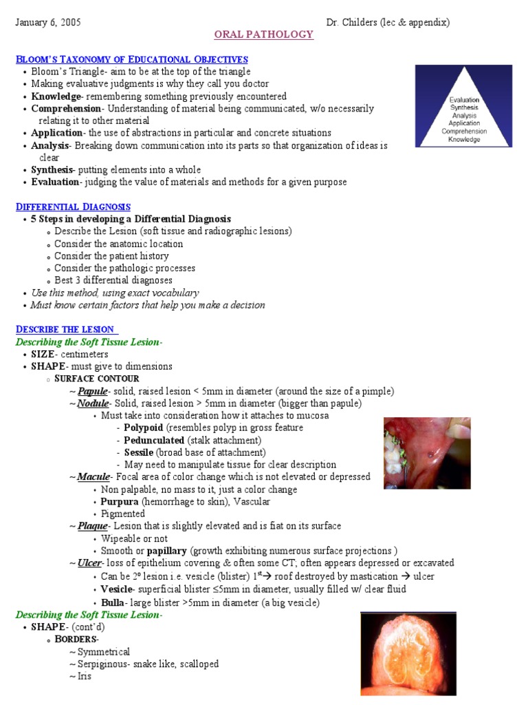 Understanding Hypergingiva in Oral Pathology | PDF | Bone | Dental Anatomy