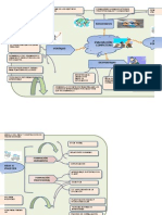 MAPA Mental Actividad 54