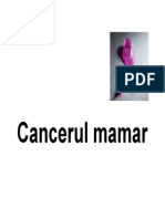 Cancerul-Mamar.pdf