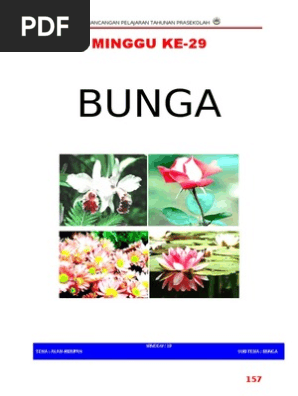 Minggu 29 Pdf
