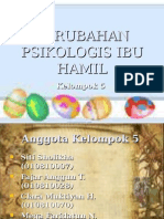 Perubahan Psikologis Ibu Hamil (Kel.5)