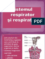 Sistemul Respirator