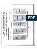 Comportamento do Consumidor