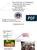 Caso Clinico de Dengue