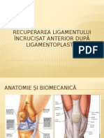 Protocoale de Tratament Pentru Ligamentoplastie