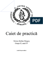 Caiet de Practică