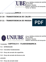 Fluidodinamica e Transferencia de Calor e Massa - Rafaela Souza de Castro