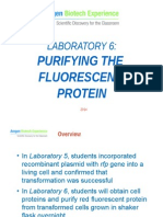 Abe Lab 6 Protein Purification