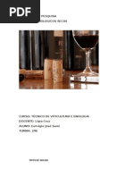 Trabalho Produtos Enologicos Secos (Enologia)