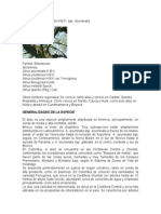 El Aliso o Cerezo y Su Importancia en Las Tierras Ganaderas