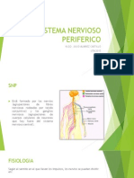 Sistema Nervioso Periferico PDF