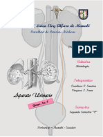 Aparato Urinario. Histo. Informe