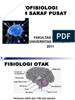 Patofisiologi Sistem Saraf 2011