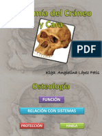Anatomía Del Cráneo PDF