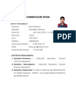 Curriculum Vitae Documentado, Boris 2