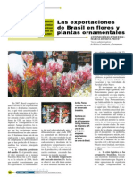 Exportacion de Flores Al Brasil