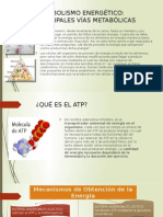 METABOLISMO ENERGÉTICO (Lactacido y Alactacidoy Anaerobico)