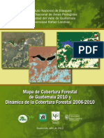 Dinamica Forestal Guatemala 