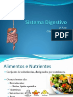 (7) - 2008 - 2009 - 9º Ano - Organismo em Equilíbrio - Sistema Digestivo