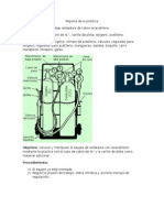Reporte de La Práctica