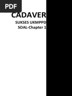 Download Sukses Ukmppd Chapter 1 by Bianda Adeti Patriajaya SN267761619 doc pdf