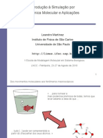 Introdução À Simulação Por Dinâmica Molecular e Aplicações