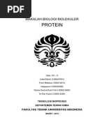 Download Makalah Protein by DimasManggala SN267769482 doc pdf