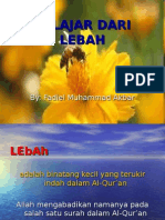 Belajar Dari Lebah1