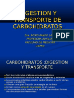 Digestio y Transporte de Carbohidratos