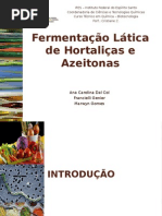 Biotecnologia - Fermentação _RESUMO
