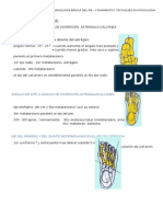 PROYECCIÓN DORSO PLANTAR.docx