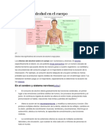 Efectos Del Alcohol en El Cuerpo