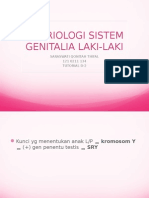 Embrio Sistem Genitalia Laki2