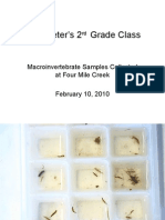 2nd Grade Macroinvertebrate Samples 2/10/2010