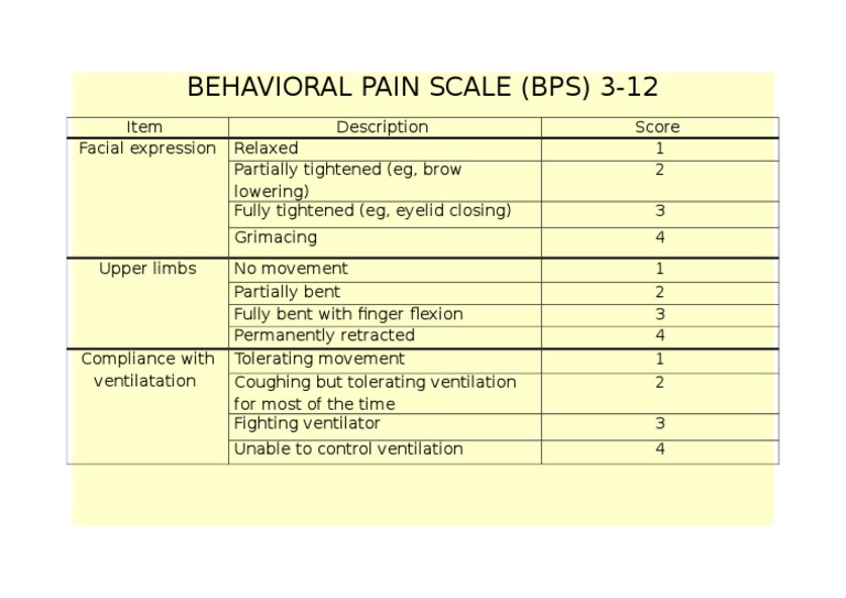 Amharic Explanation of BPS 3-12 | PDF