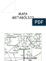 10 - Mapa metabólico