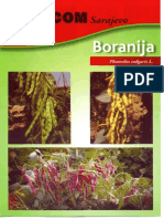 BoraniJa