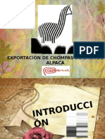 Gestion Alpaca Exponer