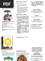 TRIPTICO primaria 1