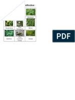 3.2 Plant Classification Worksheet