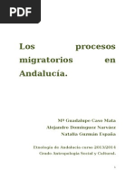 Los procesos migratorios en Andalucia