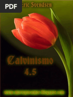 Calvinismo 4.5