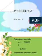 Reproducerea La Plante