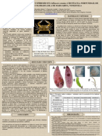 2013 X CVE - Estudio Sobre Parasitismo y Epibiosis en Callinectes Ornatus