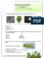 4º Básico 2015