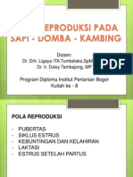 K-8 Pola Reproduksi Sapi Dombing